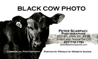 Black Cow Photo Business Card