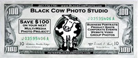 Couopon for Black Cow Photo